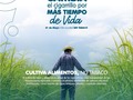🚭 ¡Celebremos el Día Sin Tabaco! 🌱🥦  Este 31 de mayo, nos unimos a la conmemoración mundial del Día Sin Tabaco, promoviendo un mensaje poderoso: "Cultiva alimentos, no tabaco". En MiRed IPS, nos preocupamos por la salud y el bienestar de nuestra comunidad, y creemos en el poder de la prevención para crear un futuro más saludable.  🌿🌽🥕 Este año, nos unimos al lema "Cultiva alimentos no tabaco", resaltando la importancia de elegir un estilo de vida saludable y sostenible. Al cultivar alimentos frescos y nutritivos, estamos invirtiendo en nuestra salud y bienestar, mientras contribuimos a la preservación del medio ambiente.   💚🚭 Abandonar el tabaco es una de las mejores decisiones que podemos tomar para cuidar nuestra salud y la de nuestros seres queridos. El cultivo de tabaco deteriora la salud de los agricultores y los trabajadores de las explotaciones agrícolas, y provoca la pérdida irreversible de valiosos recursos ambientales, como fuentes de agua, bosques, plantas y especies animales. Al dejar de fumar, estamos mejorando nuestra calidad de vida, reduciendo los riesgos de enfermedades cardiovasculares, respiratorias y cáncer.  🤝🌱 En este Día Sin Tabaco, queremos alentar a todos a dar el primer paso hacia una vida libre de tabaco. Si estás considerando dejar de fumar, podemos brindarte el apoyo necesario a través de nuestros programas de cesación tabáquica. ¡Estamos aquí para ayudarte en este importante viaje!  👨‍👩‍👧‍👦🥦 Como comunidad, podemos hacer la diferencia al promover estilos de vida saludables y sostenibles. Al cultivar alimentos frescos, estamos fortaleciendo nuestra conexión con la naturaleza y cuidando de nuestra salud y la de nuestras familias.  🌎💪 Este 31 de mayo, únete a nosotros para celebrar el Día Sin Tabaco y cultivar alimentos, no tabaco. Juntos, podemos crear un mundo más saludable y sostenible.  #DíaSinTabaco #CultivaAlimentosNoTabaco #SaludYSostenibilidad #MiRedIPS  ¡Comparte este mensaje y únete a nuestra lucha por un futuro libre de tabaco!