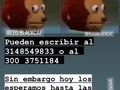 Estamos temporalmente sin whatsapp pueden agendar a través de estos número de la imagen o directamente por mensajes directo 🫶🏻 muchas gracias ☺️ #pereira #pereiracapitaldeleje #whatsapp #anuncio #citas