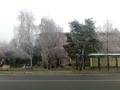 Zúzmara