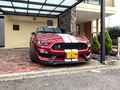 FORD SHELBY GT350 <><><><><><><> V. Max = 300Km/h 0-100Km/h = 3,7s Potencia = 533CV (7500rpm) Motor = V8 5,2L ~ 3,0Kg/CV ~  ____________________________ #ford #shelbygt350 #fordcolombia #exoticscolombia #exoticsbogota #bogotamotors