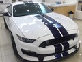 FORD SHELBY GT350 <><><><><><><> V. Max = 300Km/h 0-100Km/h = 3,7s Potencia = 533CV (7500rpm) Motor = V8 5,2L ~ 3,0Kg/CV ~  ____________________________ #ford #shelbygt350 #fordcolombia #lovecars #luxurycars #power #powerrun #amazingcar #qualitycars #car #colombiacars #carsspotting #carpics #carsandcoffee #carsamazing #carspower #carsfast #colombiacarsspoting #horsepower #herocars #bogotamotors #melodymotors #exoticsmedellin #exoticscars #exoticscolombia #exoticsbogota #fierro #fastcar