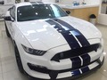 FORD SHELBY GT350 <><><><><><><> V. Max = 300Km/h 0-100Km/h = 3,7s Potencia = 533CV (7500rpm) Motor = V8 5,2L ~ 3,0Kg/CV ~  ____________________________ #ford #shelbygt350 #fordcolombia #lovecars #luxurycars #power #powerrun #amazingcar #qualitycars #car #colombiacars #carsspotting #carpics #carsandcoffee #carsamazing #carspower #carsfast #colombiacarsspoting #horsepower #herocars #bogotamotors #melodymotors #exoticsmedellin #exoticscars #exoticscolombia #exoticsbogota #fierro #fastcar