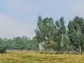 Sin tener propiedad!, Tengo el privilegio y la bendición de Dios de levantarme y ver este paisaje todos los días, esto calma mi alma y mi corazon,.