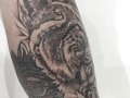 Este tatuaje lo realiza en cali Espero se de su agrado! Gracias a @seholo215 Los espero para que hagamos mas proyectos así ___________________________ #tatuador #brianbusta #tattoo #blackworkers_tattoo #black #tatuajes #medellin #medellinfit #colombia #artwork #magazinetattoo #equilattera #dot #dotworktattoo #animales #animal #animales #tatuajes #tatuajespequeños #tattooflash #art #skin #lince #wildcat #artwork #tattoomedellín #tatuajesMedellín