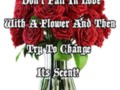 Don't Fall In Love With A Flower And Then Try To Change Its Scent!