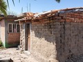 Siempre es hermoso regresar a ese lugar donde por muchos años fuiste feliz, una infancia sin lujos, no teníamos el recurso económico pero con tan solo un montón de tierra y unos juguetes viejos éramos felices mis hermanos y yo👩‍👧‍👦 recuerdo nuestra casa llena de flores y muchas plantas como a mi madre siempre le ha gustado tener, ese caminito empedrado, el olor a tierra mojada de los cuartos todos los días (no tenía piso firme) el olor en la cocina de Adobe que mi señora madre👸 tanto adoraba, amontonados mis hermanos y yo en una cama para dormir pero éramos tan felices, hoy 20 años después nuestra casa está en el olvido 😥 Nuestros vecinos #DonMiguel 🧓 y #DoñaCarmen. Cada quien con su vida pero siempre unidos como la gran familia que somos 👨‍👩‍👧‍👧 no me avergüenza decir de donde vengo pero daría lo que fuera por regresar a todos esos bellos momentos 😍
