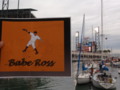 Cody 'Babe' Ross warms up by at McCovey Cove before the start of the WS