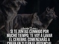 Te recomiendo que sigas a @sociedadexitosa para más excelente contenido, también podrás encontrar todo tipo de tips y consejos para tu vida 👏🏻🔥 . @sociedadexitosa 👈🏻 @sociedadexitosa 👈🏻 @sociedadexitosa 👈🏻