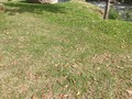 Domingo dia de Dealer en el rio y la naturalez... A veces pienso q estoy destinado a grandes cosas y como la vida juega conmigo dandome señales q no puedo ignorar...  La verdad es q voy en mi camino... Siempre con la mirada en alto...   Estoy seguro que voy por el camino correcto...  -Trader Profesional -E-business -Negocios Online