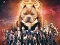 BMC THANOS Abierto a montas ya! Precio de apertura 2 millones ó 650 dolares. @bullymedellin @bullymedellin @bullymedellin