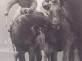 Hablemos de la conducta de los Equinos  El psicólogo de caballos que diría  Cómo se maneja este tipo de casos Es a través de una clase o varias Seria en plena carrera antes o después  Se le hablaría al caballo en su lenguaje O se le aplicaría el español No me imagino al "Etólogo" Actuando en esta caso El análisis se haría de y a grabación O se sentaría al caballo en un sillón Tu que harias en este tipo de casos Es como el caballo de coleo Que muerde el ganado O el que muerde a otros caballos A veces al coleadores y propietarios  Es un problema de conducta  O de mal carácter  Es posible prevenir estos casos Hay manera de tratarlos Alguna vez te ha mordido un caballo Estabas descuidado  Las personas que ven al mordido Siempre dicen que es por su culpa Que la culpa nunca es del caballo Que bien hecho que lo mordieron Esas son cosas que no entiendo De las personas que opinan Solo les deseo que los muerdan A ver si aprenden a opinar Desde su propio cuero Cuando este morado  O cuando estén sangrando #CaballosaludCreeEnDios amén