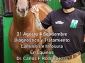 Para todo público, están todos invitados a participar.  Inscríbete ya.