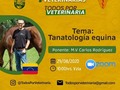 A las 10am en vivo por instagram live Caballosalud