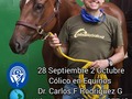 CURSO ON LINE  CÓLICO EN EQUINOS    Caballosaludoc1 caballosaludsa1