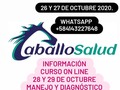 INFORMACIÓN  CURSOS ON LINE  EN EQUINOS WHATSAPP  +584143227648