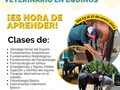 DEL 23 al 27 de Enero 2023  CURSO PREUNIVERSITARIO AUXILIAR VETERINARIO EN EQUINOS CARACAS VENEZUELA   INFORMACIÓN   FUNDACIONCSF.ORG   Dr. Carlos Federico Rodríguez Garantón @Caballosalud   WhatsApp +584143227648  No pierdas esta oportunidad e inscríbete.  Nueva alternativa para estudiar Medicina Veterinaria en Caracas, Venezuela.   Universidad Nacional Experimental Sur del Lago.   Convenio/u2026      Torre La Noria, Las Mercedes, Caracas - Venezuela.   Teléfono: 02129933193 ext 120  Decano  Dr. Genaro Becerra 04140146438  Coordinador de la Carrera  Profesor  Carlos Camejo +584122967061  Administrador de la Facultad  Profesor  Joel Rosario Médico Veterinario  +584122843469  Administración  Norelis Rodríguez  +58 412-9263597  Profesora  Dra Ana Monsanto Médico Veterinaria +584120436469  Profesor Dr. Andrés Avellaneda Médico Veterinario  +584122989418  #unesur #medicina #veterinaria #universidad #medveterinaria #vet #caracas #medicinaveterinaria #caballosalud #estudios #veterinarymedicine #vetstudentlife #saludanimal #CaballosaludTeEnseña #CaballosaludCreeEnDios amén 🙌   #unesurvetccs  #unesur #medicina #veterinaria #universidad #medveterinaria #vet #caracas #medicinaveterinaria #caballosalud #estudios #veterinarymedicine #vetstudentlife #saludanimal #CaballosaludTeEnseña #CaballosaludCreeEnDios amén 🙌