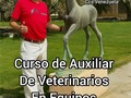 DEL 23 al 27 de Enero 2023  CURSO PREUNIVERSITARIO AUXILIAR VETERINARIO EN EQUINOS CARACAS VENEZUELA   INFORMACIÓN   FUNDACIONCSF.ORG   Dr. Carlos Federico Rodríguez Garantón @Caballosalud   WhatsApp +584143227648  No pierdas esta oportunidade inscríbete.  Nueva alternativa para estudiar Medicina Veterinaria en Caracas, Venezuela.   Universidad Nacional Experimental Sur del Lago.   Convenio/u2026      Torre La Noria, Las Mercedes, Caracas - Venezuela.   Teléfono: 02129933193 ext 120  Costo 220 dólares americanos   Decano  Dr. Genaro Becerra 04140146438  Coordinador de la Carrera  Profesor  Carlos Camejo +584122967061  Administrador de la Facultad  Profesor  Joel Rosario Médico Veterinario  +584122843469  Administración  Norelis Rodríguez  +58 412-9263597  Profesora  Dra Ana Monsanto Médico Veterinaria +584120436469  Profesor Dr. Andrés Avellaneda Médico Veterinario  +584122989418  #unesur #medicina #veterinaria #universidad #medveterinaria #vet #caracas #medicinaveterinaria #caballosalud #estudios #veterinarymedicine #vetstudentlife #saludanimal #CaballosaludTeEnseña #CaballosaludCreeEnDios amén 🙌   #unesurvetccs  #unesur #medicina #veterinaria #universidad #medveterinaria #vet #caracas #medicinaveterinaria #caballosalud #estudios #veterinarymedicine #vetstudentlife #saludanimal #CaballosaludTeEnseña #CaballosaludCreeEnDios amén 🙌