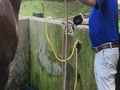 Uno de kis grandes placeres de la vida es bañar a mi yegua. Debí bajar el ritmo de mi vida He agarrado todo como que mi vida se termina mañana  Y siento que estoy abusando de mis capacidades buscando lo que no se me ha perdido  Mañana es el día del padre y la pasaré con mi amado hijo Carlos Federico Rodriguez  Tratare de descansar y recuperar mis energías, equilibrio y visión que esta a esta altura muy afectada  Esta es dolo una nueva e va preocupación en mi vida y no le puedo dejar agarrar ventaja a este nuevo sentido La gente me verá y desde lo lejos me saludarla y me da pena no saber que lo hacen  Dios sabrá guiarme en esta nueva situación de vida. #caballosaludcreeendios amén