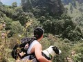 🐶🏞️...
