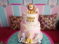 Cake Emma Sofia 🦓🦒🐘🦁  Agenda tu cake con nosotros 📲3204416481