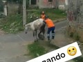 Por pendejo 🤣🤣🤣🤣🤣🤣🤣🤣