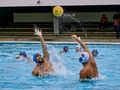 Gran final equipo @egresadoswp water Polo una gran pasión 🤽🏾‍♂️