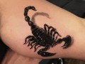 2019-05-24 16:25:53