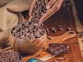 Un dulce proyecto 🍫 Para Cacaoteca.