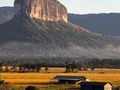 ¿Valdrá la pena regresar y luchar por Venezuela?  Gracias a Dios me quedé, mi gran sabana.