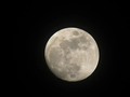 ¿Quién dice que no duelen Las huellas en la arena? Tu huella el mar se la llevó Pero la luna sigue ahí Pero esa luna es mi condena … Despacio en la mañana A gritos por la noche Las voces vivas del recuerdo se disfrazan de intuición Y en una voz tu voz se esconde Y en una voz tu voz se esconde … Y yo sé que tal vez Tú nunca escuches mi canción, yo sé Y yo sé que tal vez Te siga usando así, robándote mi inspiración … Mientras siga viendo tu cara en la cara de la luna Mientras siga escuchando tu voz Entre las olas, entre la espuma Mientras tenga que cambiar la radio de estación Porque cada canción me hable de ti, de ti, de ti Me hable de ti … La vida se me esconde Detrás de una promesa sin cumplir De donde nace alguna inspiración, de donde nace otra canción Y ya no sé bien quién se esconde Yo ya no sé lo que se esconde … Y yo sé que tal vez Tú nunca escuches mi canción, yo sé Y yo sé que tal vez Te siga usando a ti robándote mi inspiración … Mientras siga viendo tu cara en la cara de la luna Mientras siga escuchando tu voz Entre las olas, entre la espuma Mientras tenga que cambiar la radio de estación Porque cada canción me hable de ti, de ti, de ti … Mientras siga viendo tu cara en la cara de la luna Mientras siga escuchando tu voz Entre las olas, entre la espuma Mientras tenga que cambiar la radio de estación Porque cada canción me hable de ti, de ti, de ti … Yo seguiré buscando O seguiré escapando Tal vez de ti, tal vez de mí Yo seguiré buscándole una explicación a esta canción … Mientras siga viendo tu cara en la cara de la luna Mientras siga escuchando tu voz Entre las olas, entre la espuma Mientras tenga que cambiar la radio de estación Porque cada canción me hable de ti, de ti, de ti … Mientras siga viendo tu cara en la cara de la luna Mientras siga escuchando tu voz Entre las olas, entre la espuma Mientras tenga que cambiar la radio de estación Porque cada canción me hable de ti, de ti, de ti Me hable de ti. #pics #art #pictures #composition #photooftheday #all_shots #focus #photo #moment #photos #instagood #picture #pic #snapshot #color #beautiful #capture #exposure #photography #luna #bucaramanga
