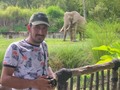 El animal más grande del mundo y detrás el elefante 🐘  #elefante
