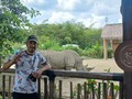 Este animal es parecido a mi por que tiene una caparazón grande y un colmillo enorme acá un poquito más de la descripción. Los rinocerótidos (Rhinocerotidae, del griego ρινός (rinós), 'nariz' y κερος (keros), 'cuerno'), conocidos con el nombre de rinocerontes, son una familia de mamíferos placentarios del suborden ceratomorfos perteneciente al orden de los perisodáctilos. Rhinoceros unicornis, llamado comúnmente rinoceronte indio. #rinoceronte