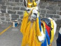 Un rey merece una buena reina