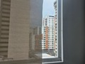 Asómate a la ventana 💚