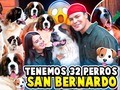Les presentamos nuestros 32 perros🐶❤️(LINK EN MI BIOGRAFÍA)
