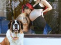 Isabella la están esperando sus 30 hermanos perrunos🐶😍 @alejo_discoverrr 📸