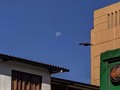 Un pequeño vistazo a la luna con el Xiaomi Mi A3 1X a 8X