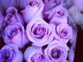 Si quieres hacer un regalo especial y espiritual a alguien, elige un ramo de hermosas flores moradas. Son un símbolo de paz y de armonía. Imagen de lo profundos que son nuestros sentimientos hacia la otra persona.  Yo quiero un ramo de flores moradas!!!! 💜 Tú a quién se las regalarías??? #flowers #flower #TagsForLikes #petal #petals #nature #beautiful #love #pretty #plants #blossom #sopretty #spring #summer #flowerstagram #flowersofinstagram #flowerstyles_gf #flowerslovers #flowerporn #botanical #floral #florals #insta_pick_blossom #flowermagic #instablooms #bloom #blooms #botanical #floweroftheday