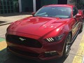 Mustang 2015 8 mil millas  v8  Automatico Precio 36.000$ Maracay  Para mayor información 0414.5088556