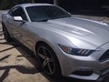 #IMPECABLE 🔥  Mustang 2016 V8 sincrónico con solo 1.600 millas. Totalmente impecable. Varios extras  Ubicación Caracas Precio 44.000$  📲0414.5088556 whatsapp   #maracay#valencia#caracas#merida#zulia#barinas#lecheria#maturin#mustang#ford#v8#carrosenventa