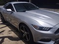 #IMPECABLE 🔥  Mustang 2016 V8 sincrónico con solo 1.600 millas. Totalmente impecable. Varios extras  Ubicación Caracas Precio 44.000$  📲0414.5088556 whatsapp   #maracay#valencia#caracas#merida#zulia#barinas#lecheria#maturin#mustang#ford#v8#carrosenventa