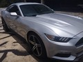 #IMPECABLE 🔥  Mustang 2016 V8 sincrónico con solo 1.600 millas. Totalmente impecable. Varios extras  Ubicación Caracas Precio 44.000$  📲0414.5088556 whatsapp   #maracay#valencia#caracas#merida#zulia#barinas#lecheria#maturin#mustang#ford#v8#carrosenventa
