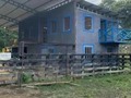 Se vende finca de 453 hectáreas. 100 deforestada. Con 25 Animales. Papelon- Portuguesa . Precio 400$ por hectárea  📲0414-5088556 WhatsApp   #maracay #barquisimeto  #caracas  #fincaenventa #ganaderia #ventadeinmuebles