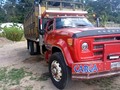 Año 78 Tiene motor Ford 6.6 caja de cargo de 6ta. Trasmisión de 8000 con mocha. Tiene aire vidrio eléctrico. Está al día. Precio 8900$  Falcón 0414-5088556 WhatsApp   #venezuela  #camiones  #barquisimeto  #caracas  #merida  #zulia  #lara  #barinas  #barcelona  #cojedes  #guanare  #lecheria  #maturin  #maracaibo  #barquisimeto