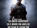 Feliz miércoles !