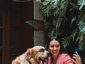 ¡Disfruta de un momento único con tu mejor amigo en #Castañyoles! 🐾✨ #Petfriendly #Restaurant #Bogotá  ... Reserva en el link de la bio o llamando al +601 3257918 ☎️