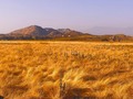 #perris #field