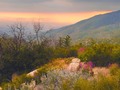 #sanjacinto #sunset #wildflowers #forrest #mountains #mountaincenter