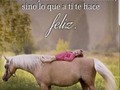 SÉ FELIZ 🌻❤🌻