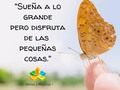 Si las cosas pequeñas 🌻👍🌻